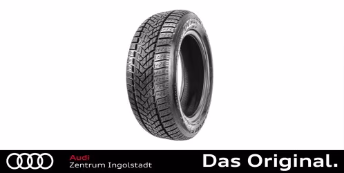 205/55 R16 91H Dunlop Winter Sport 5 205/55 R16 91H Dunlop Winter Sport 5