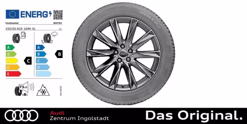 Original Audi e-tron / Q8 e-tron 20 Zoll Winterkomplettradsatz 10-Speichen-Lamina, schwarz 9,0Jx20 255/50 R20 109H XL ContiWinterContact TS850P AO Original Audi e-tron / Q8 e-tron 20 Zoll Winterkomplettradsatz 10-Speichen-Lamina, schwarz 9,0Jx20 255/50 R20 109H XL ContiWinterContact TS850P AO